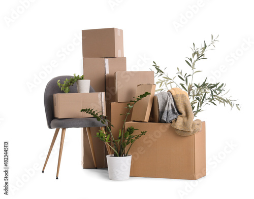 Cardboard boxes with plants...