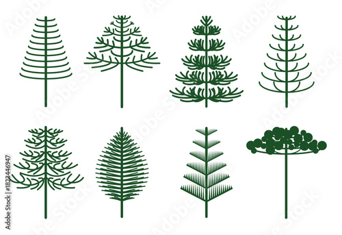  araucaria vector