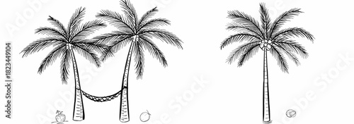 Coconut Palm Trees with Hammock Line Art Illustration