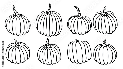 vector hand drawn illustration of pumpkin isolated object