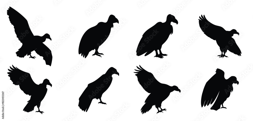 Obraz premium Vulture Silhouette Vector Set - Bird of Prey Clipart for Wildlife Designs
