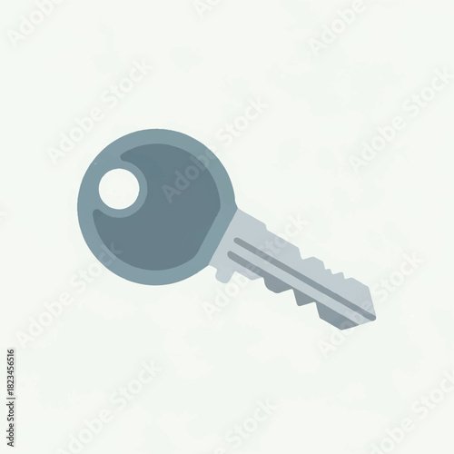 A grey key with a circular head and serrated shaft on a white background
