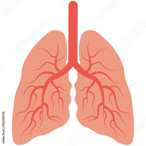 Pneumonia Illustration