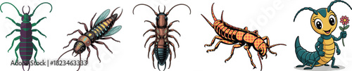 Earwig Insect Vector Set: Detailed and Cute Cartoon Bug Collection