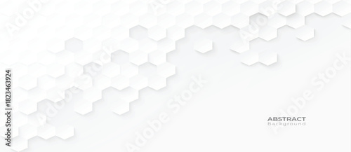 Abstract modern hexagon background. White and grey honey pattern geometric texture. Vector art illustration