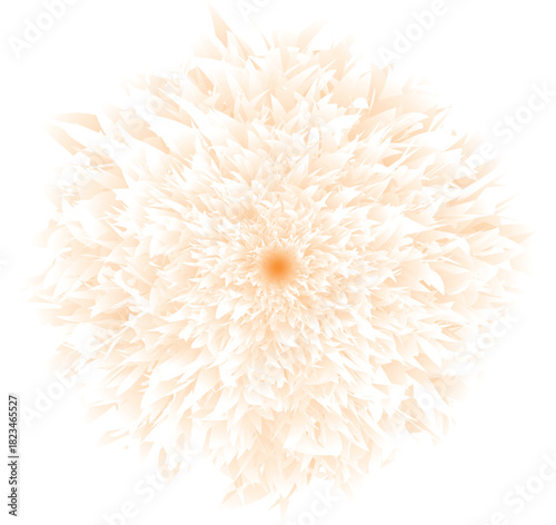 flower isolated on white,