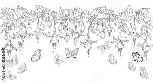 A beautiful line art illustration featuring delicate fuchsia flowers hanging from branches with graceful butterflies fluttering nearby, perfect for coloring or decoration.