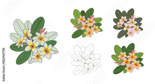 Various artistic interpretations of tropical plumeria (frangipani) flowers and leaves in different illustration styles.