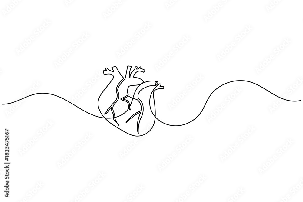 Obraz premium Continuous line drawing of human heart, medical health concept