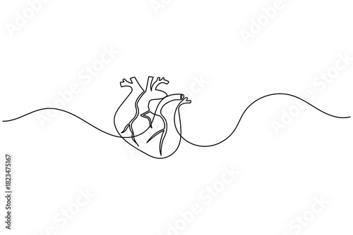 Continuous line drawing of human heart, medical health concept