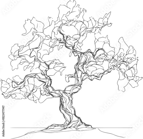 Stylized Line Art of a Bonsai Tree with Intricate Branches and Delicate Leaves Design