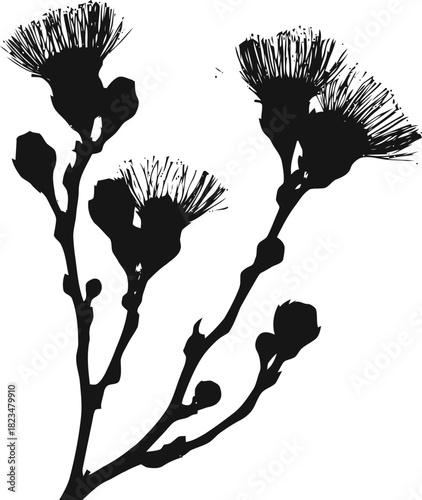 Elegant silhouette of blossoming eucalyptus branches offering botanical charm design