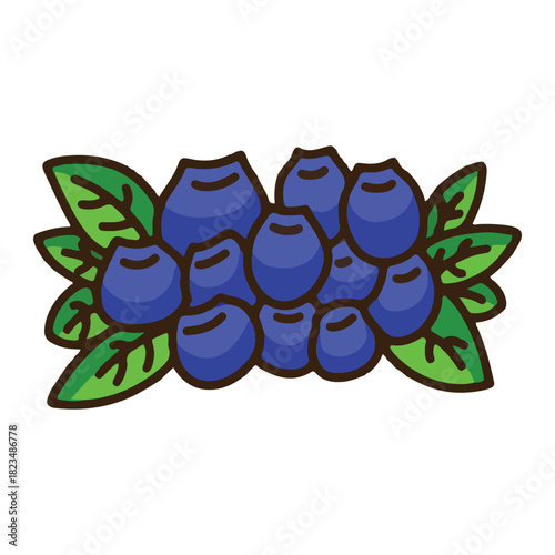 colored blueberry icon