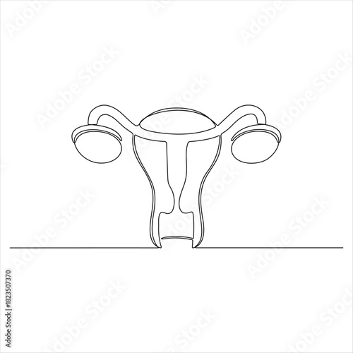 Continuous one line drawing of woman uterus ovary and female reproductive system in simple linear style  for logo and web banner