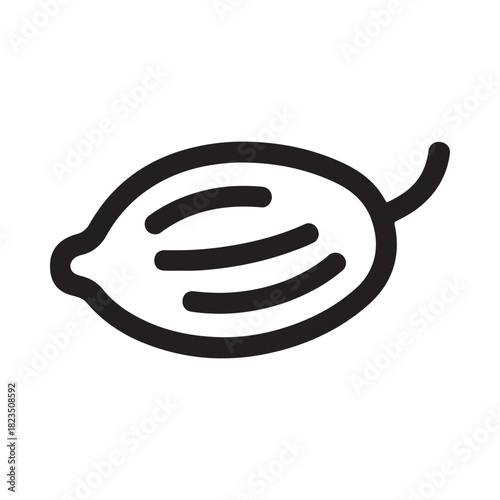 Simple line art icon of a cardamom pod