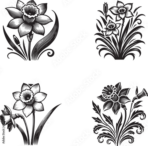 Stylized Daffodil Silhouettes – Ornamental Botanical Vector Set