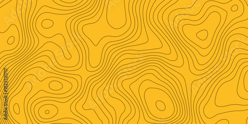 Topographic map background with geographic grid for hiking and mountain sport. luxury topographic wavy pattern and geographic grid map design. paper texture Imitation of a geographical map shades.