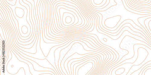 Topographic map background with geographic grid for hiking and mountain sport. luxury topographic wavy pattern and geographic grid map design. paper texture Imitation of a geographical map shades.