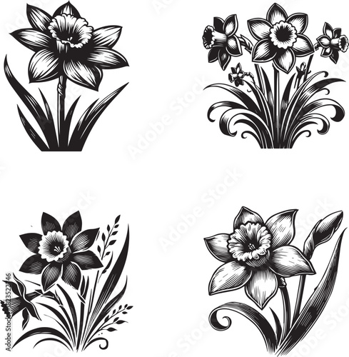 Daffodil Flower Silhouettes – Elegant Botanical Vector Set