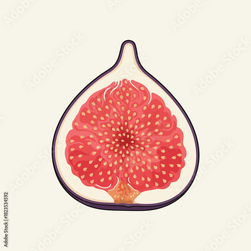 Flat vector fig slice with soft purple skin, detailed solid interior, radial seeds, slight 3D shading, clean solid background