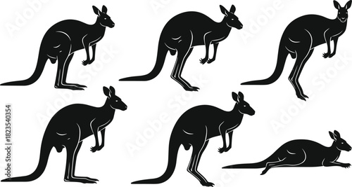 Set of black kangaroo silhouettes, Australian wildlife vector illustration, jumping, hopping and standing marsupial icons, isolated on white background
