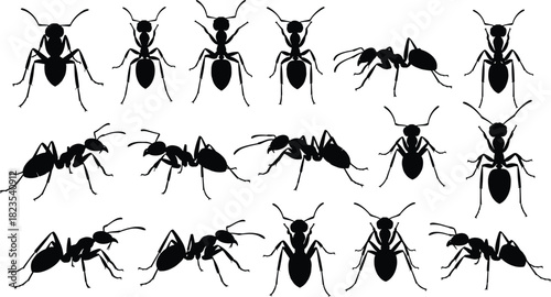 Set of ant silhouettes, black insect icons, crawling bug collection, pest control symbols, nature vector illustration, isolated shapes
