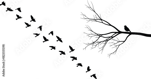 Silhouette of flock of birds flying away from tree branch, single bird perched alone, migration vector illustration isolated