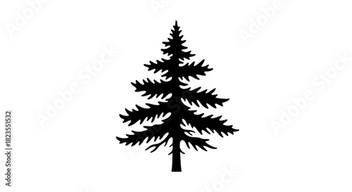 Silhouette of a pine tree with dense branches and a slender trunk.