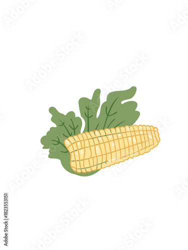 fresh organic sweet corn harvest illustration