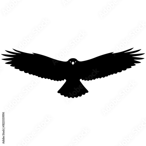 Majestic soaring bird silhouette, powerful wings extended in graceful flight