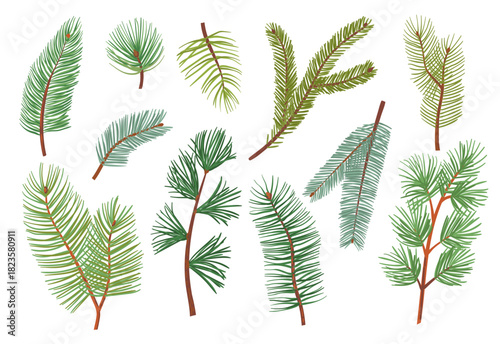 Cartoon pine branches. Different types of coniferous trees, spruce, fir and cedar, Christmas decorative new year botanical elements, winter holiday design splendid vector isolated flat set