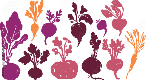 Hand-Drawn Root Vegetables Vector Set - Beets, Carrots, Radishes, and Garden Produce