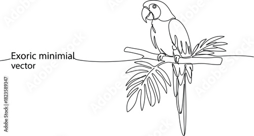 Minimalist line art of a parrot perched on a branch with tropical leaves vector