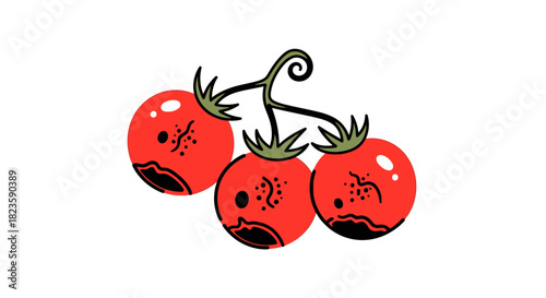 An illustrative depiction of three spoiled red tomatoes, showing signs of rot and decay, highlighting issues of food waste and agricultural challenges.