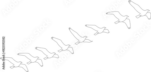 Flock of birds flying in formation over a minimalist landscape illustration