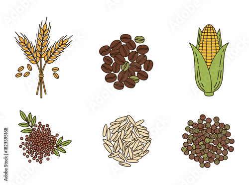 Various agricultural grains and food crops illustration set