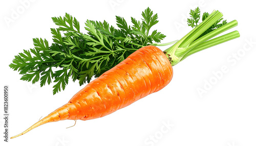 A vibrant orange root vegetable with leafy green stems, isolated on a black background
