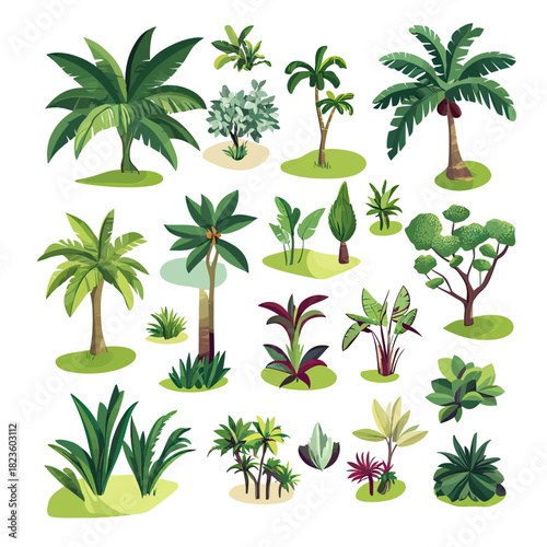Isometric tropical palm trees bushes and jungle vegetation flat vector set with various leafy plants and shrubs isolated on white background