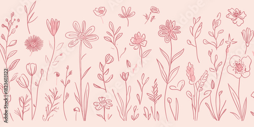 Hand drawn wildflower line art set with delicate garden flowers, leaves, stems and floral elements in minimalist pink outline style on soft background vector illustration