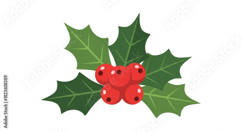 Vector illustration of a sprig of holly with bright red berries and spiky green leaves, for holiday design