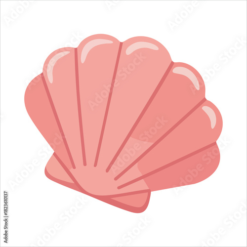 Natural ocean seashell from coastal beach environment isolated vector illustration on white background