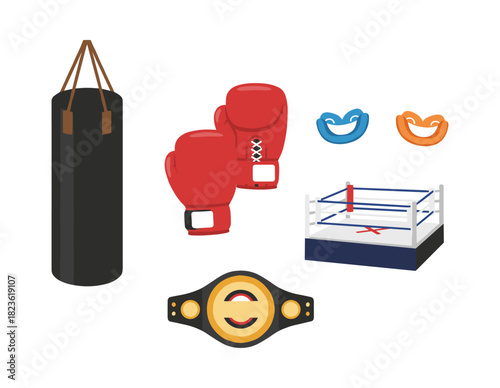 Boxing equipment and elements for fighting sport