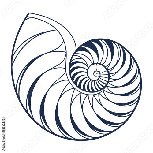A stylized navy blue line drawing of a nautilus shell showcasing its iconic logarithmic spiral pattern against a clean white background representing nature s perfect geometry