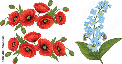 Vector Illustration Set of Vibrant Red Poppy Arrangements and a Delicate Blue Forget-Me-Not Flower Sprig, Ideal for Botanical Prints, Floral Borders, and Wedding Designs