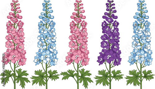 Vector Set of Detailed Colorful Delphinium or Larkspur Flowers in Pink, Blue, and Purple, Ideal for Wedding Invitation Design, Botanical Prints, and Floral Decoration