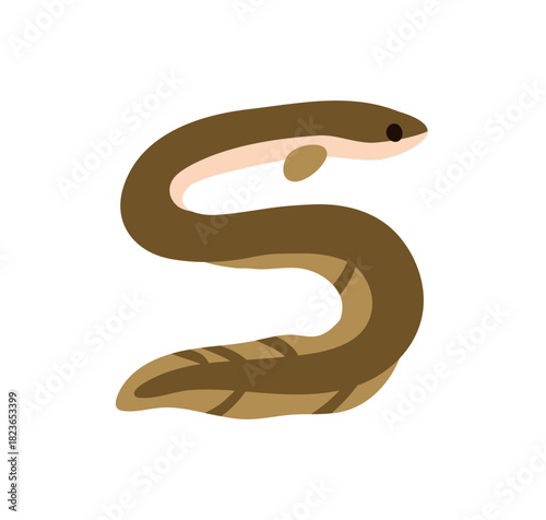 Moray eel, underwater undersea snake fish. Long curved tropical marine animal, fauna, sea food. Seafood, uncooked eating icon. Flat vector illustration isolated on white background