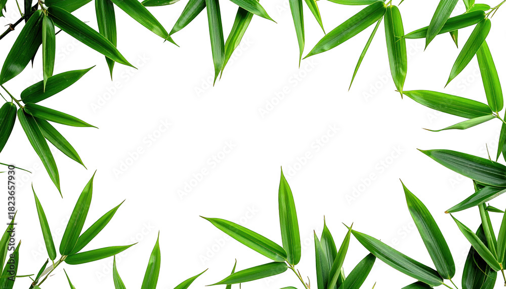 Naklejka premium Vibrant green leaves, arranged in a frame, on a stark black background