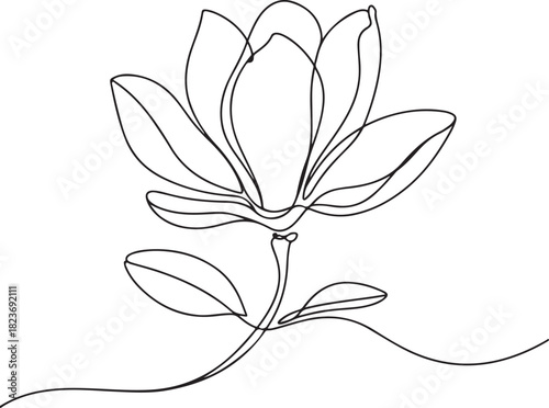 Continuous line art illustration of elegant magnolia flower with petals using hand-sketched contour