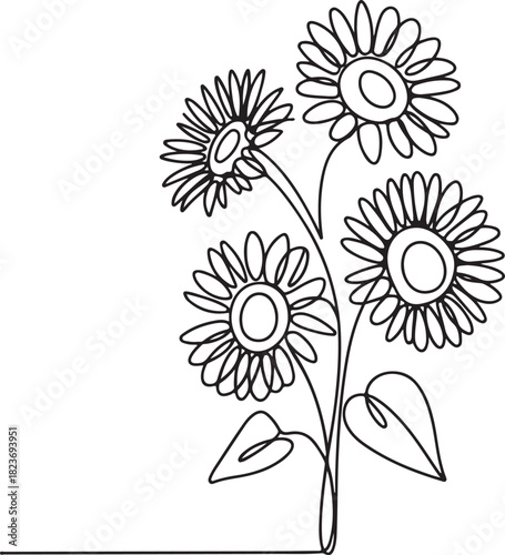 Continuous line art illustration of multiple sunflowers together with hand-sketched contour