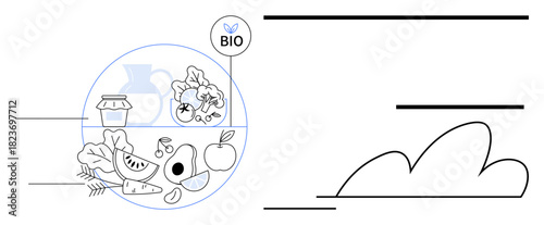 Variety of fruits, vegetables, and natural products with BIO label. Ideal for health, organic produce, sustainability, eco-consciousness, nutrition farm-to-table wellness. Simple flat metaphor